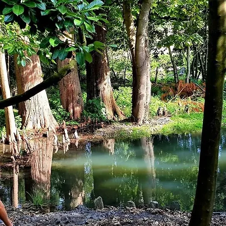 Petit Paradis Au Bord De L'erdre  *